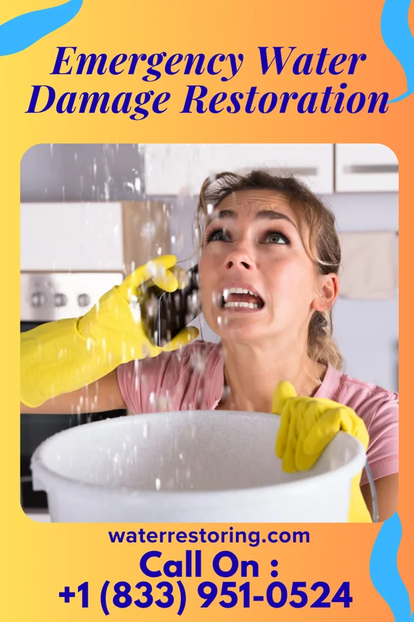 Emergency Water Damage Restoration in Paxton, IL