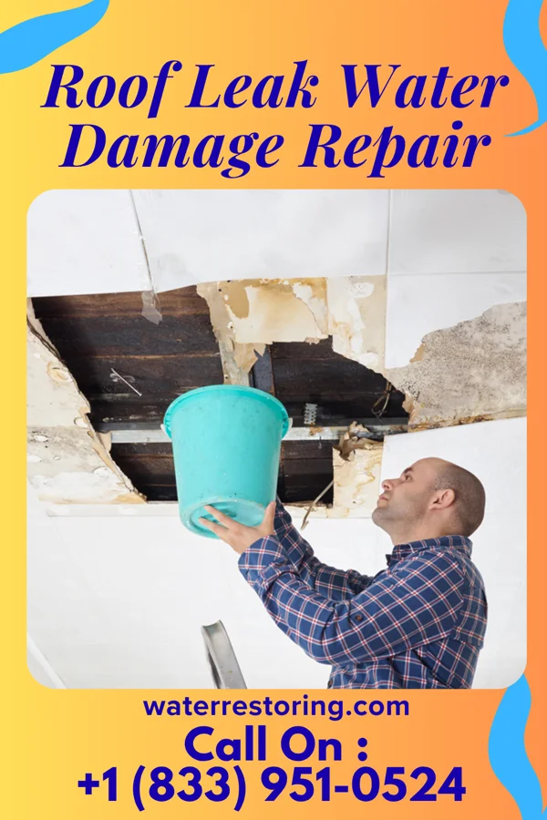 Roof Leak Water Damage Repair in Paxton, IL